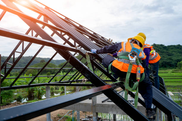 Roof Gutter Cleaning